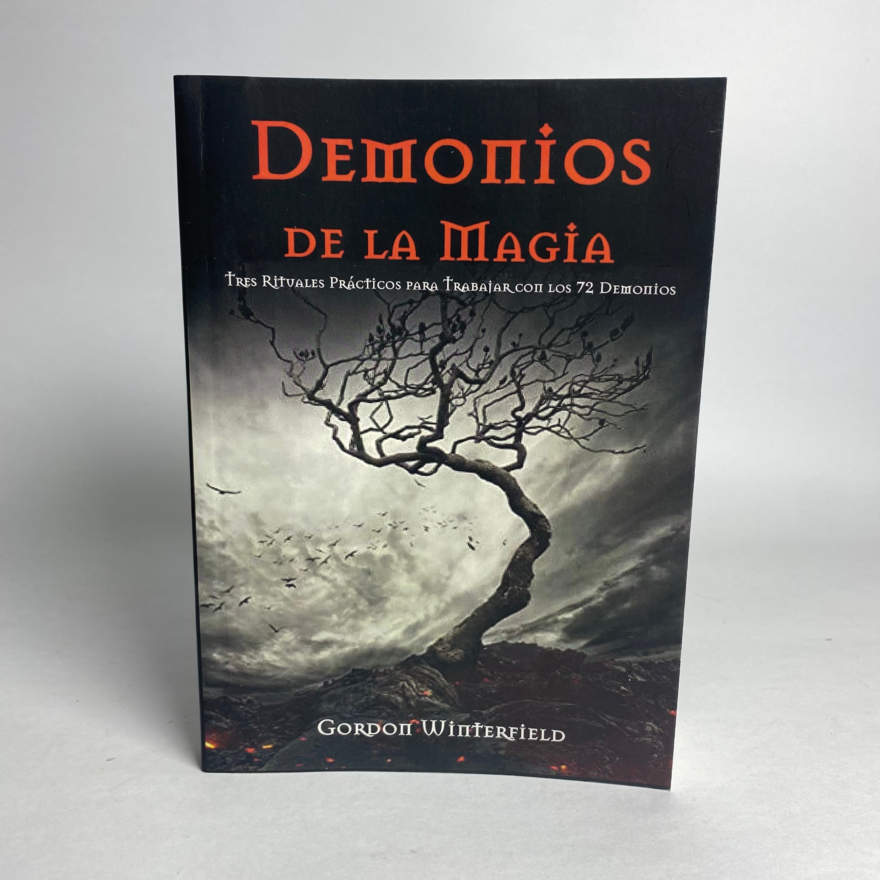 Demonios de la Magia - Gordon Winterfield